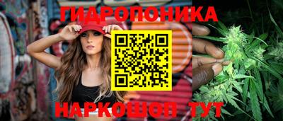 спайс Обь