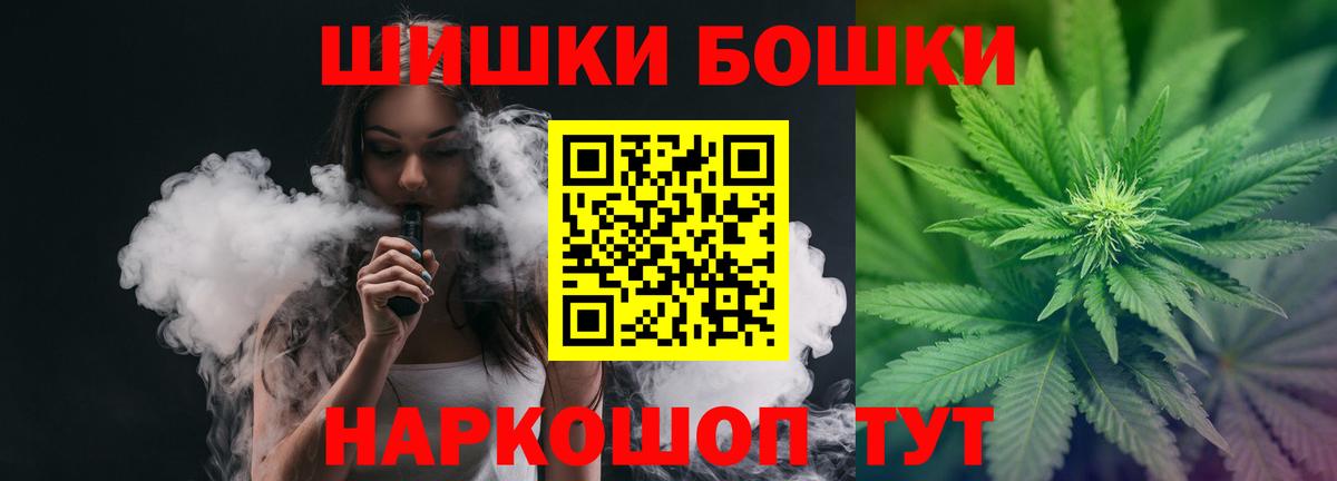 Бошки Шишки планчик Советск